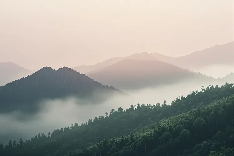 雨润山青 - 橘子视频专题合集